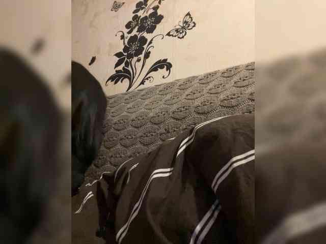 DominatriS webcam