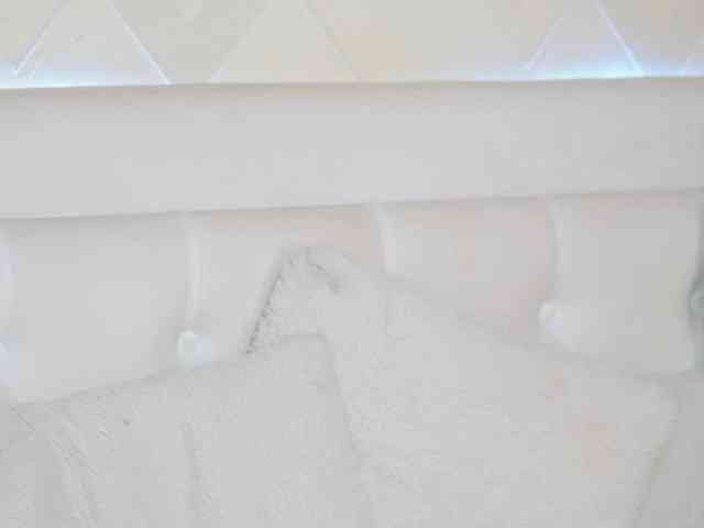 KaylaVegas webcam