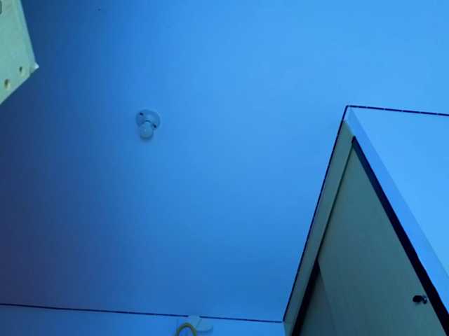 MissVeronicaW live cam on BongaCams
