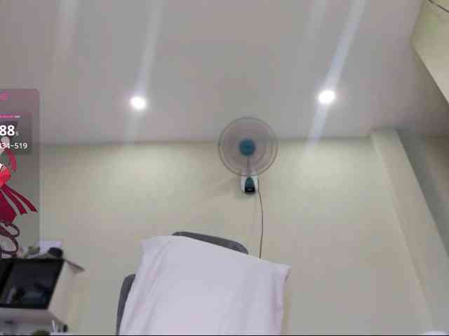 SakuraCN webcam