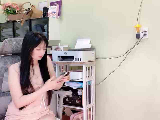 SakuraCN webcam