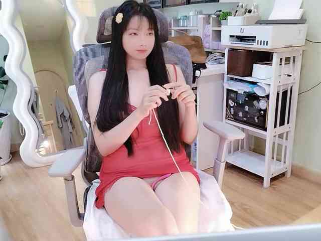 SakuraCN webcam