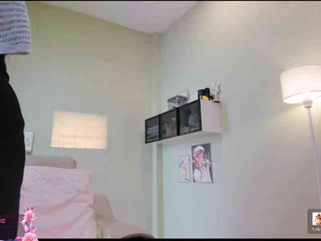 SakuraCN webcam