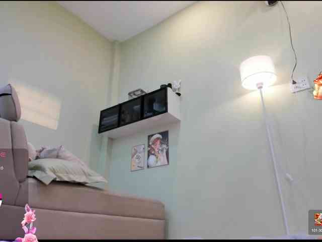 SakuraCN webcam