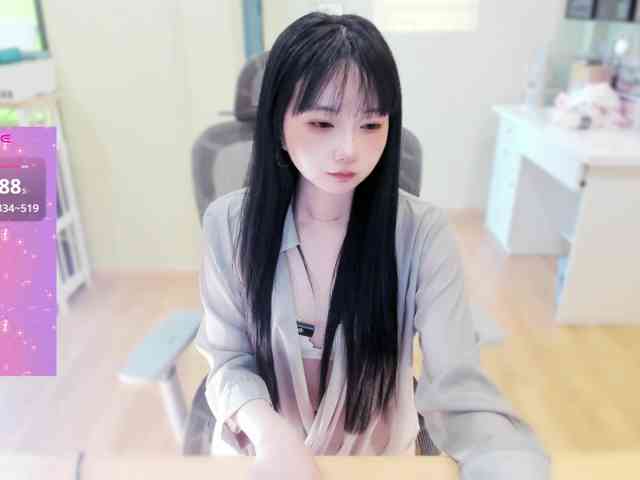 SakuraCN webcam