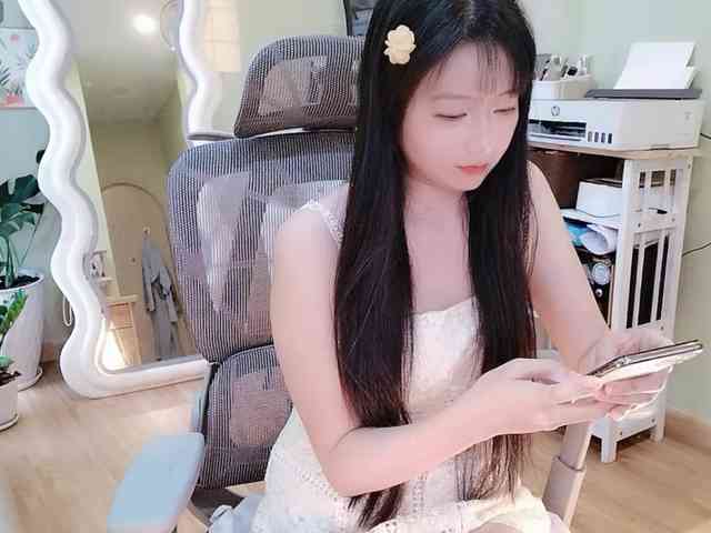SakuraCN webcam