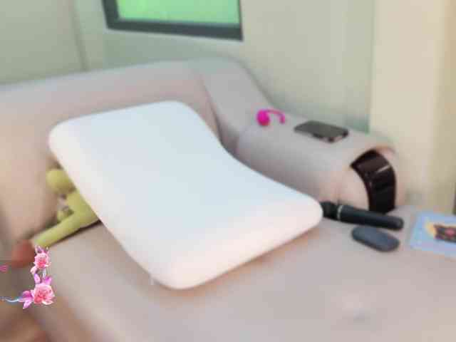 SakuraCN webcam