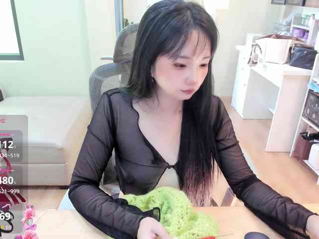 SakuraCN webcam