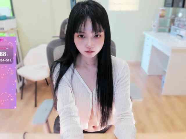 SakuraCN webcam