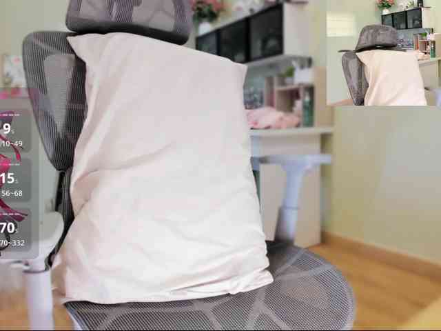 SakuraCN webcam