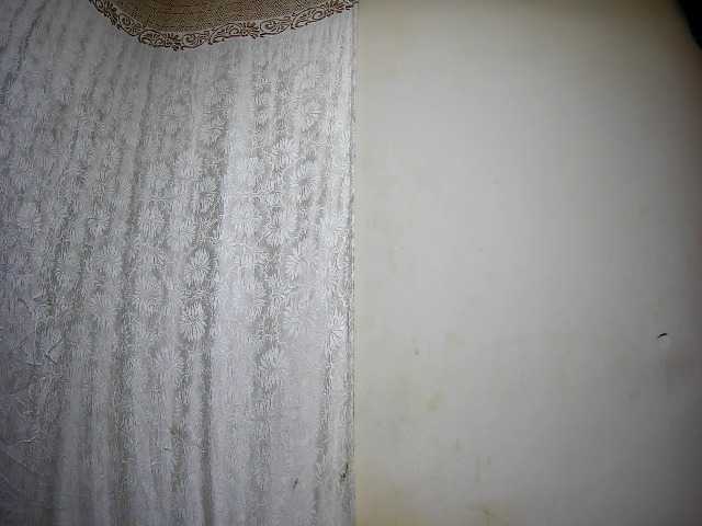 ebony-tasha1