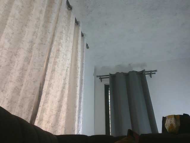 Preview of queendons