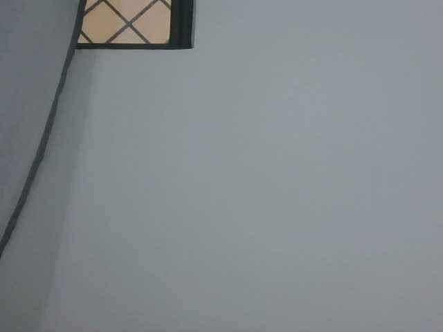 Preview of queendons