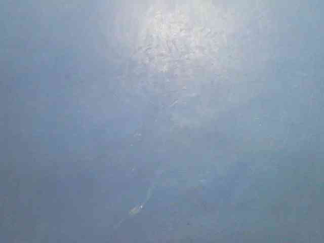 Mystiq-Ella webcam
