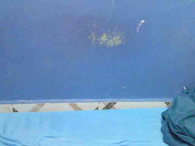 Mystiq-Ella webcam
