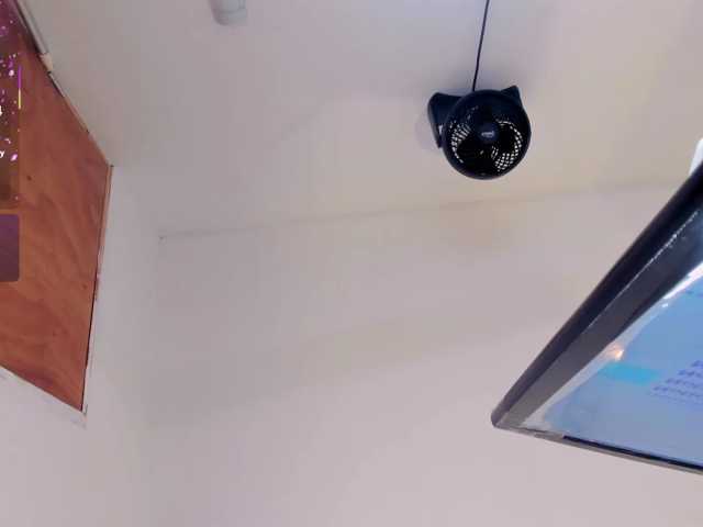 kittybluuee live cam on BongaCams