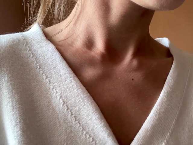 Preview of blondellfriot