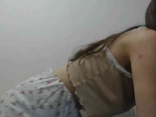 MinervaTrahin webcam