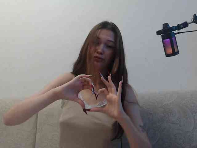 MinervaTrahin webcam