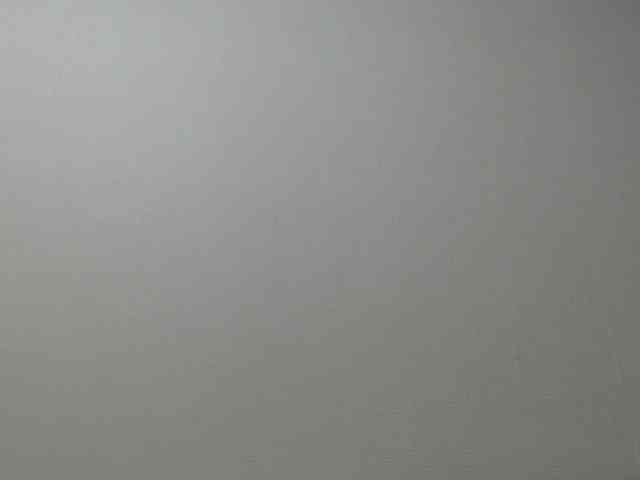 MinervaTrahin webcam