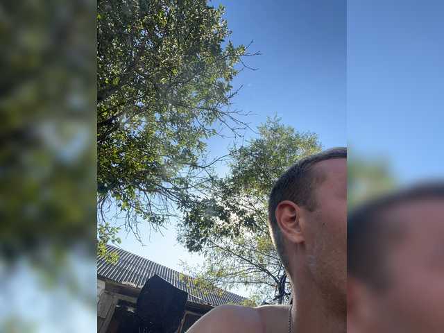 Alfaredmm