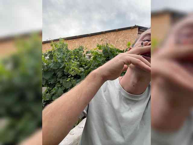 Alfaredmm