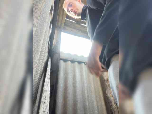Alfaredmm