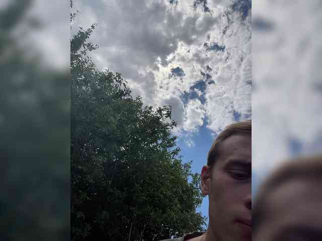 Alfaredmm