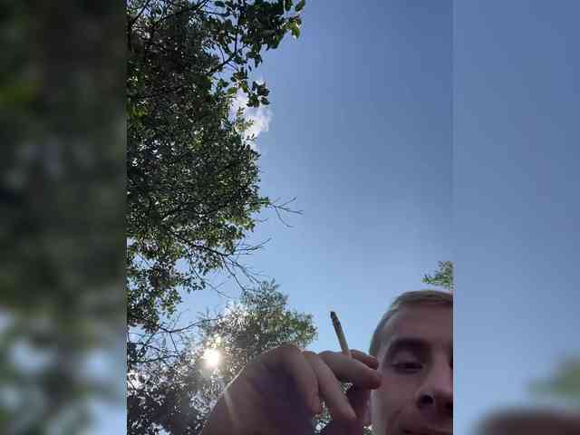Alfaredmm Alfaredmm