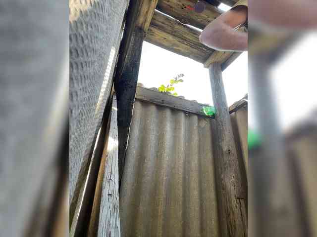 Alfaredmm