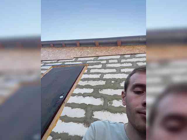 Alfaredmm