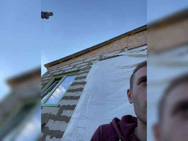 Alfaredmm