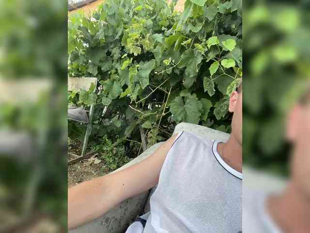 Alfaredmm