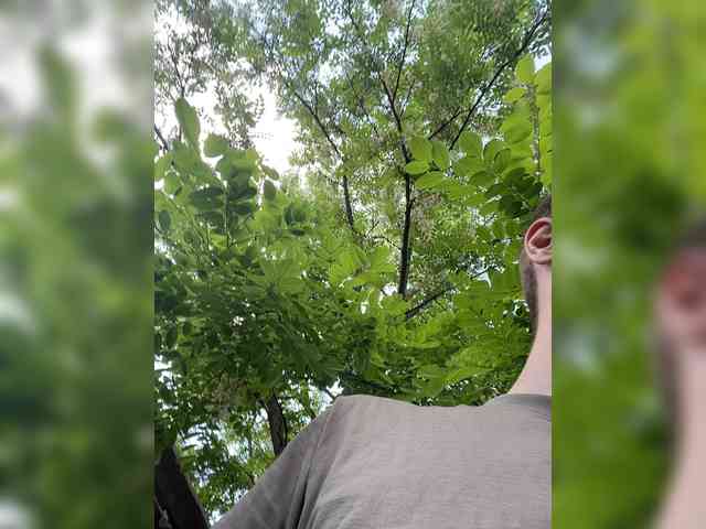 Alfaredmm