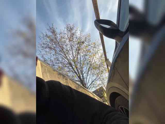 Alfaredmm