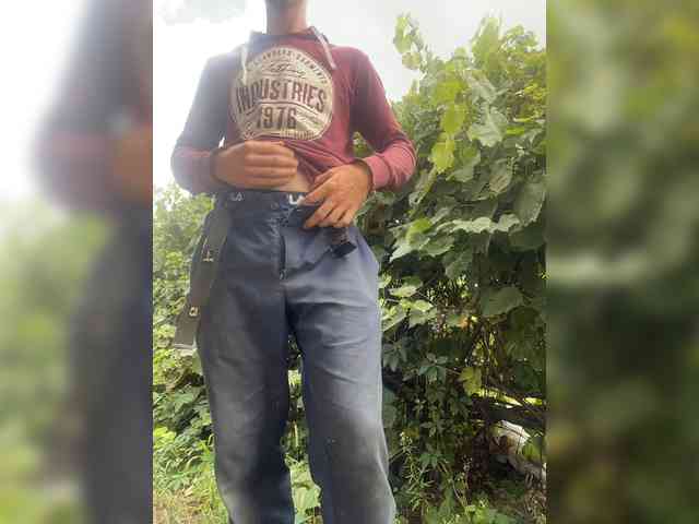Alfaredmm
