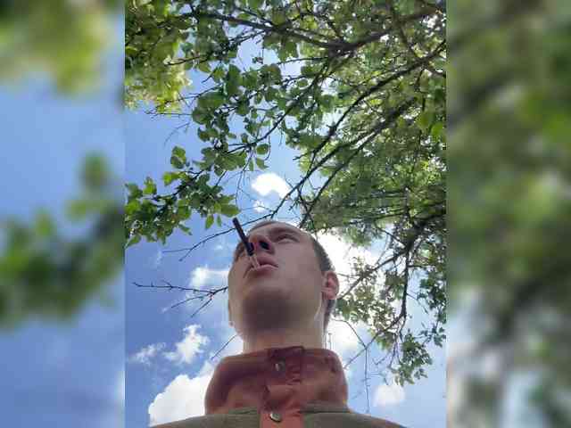 Alfaredmm