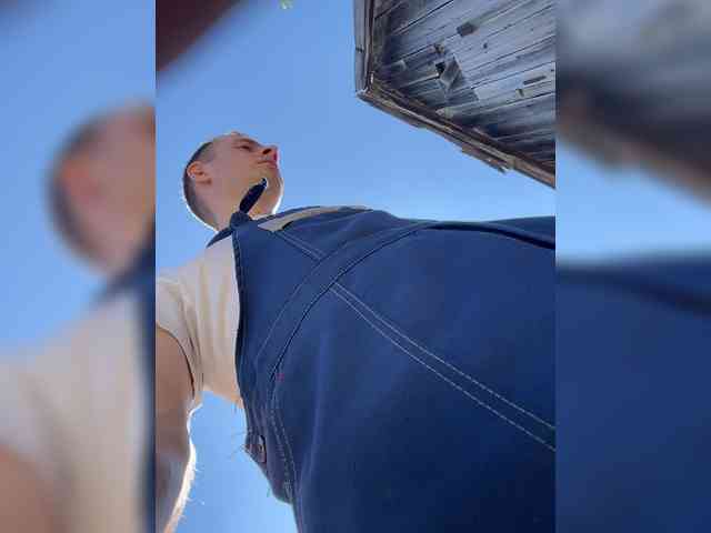 Alfaredmm