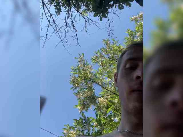 Alfaredmm
