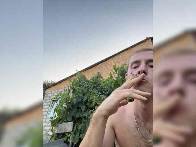 Alfaredmm