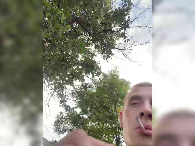 Alfaredmm