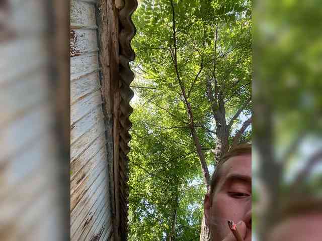 Alfaredmm