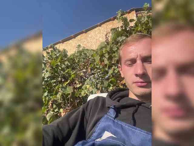 Alfaredmm