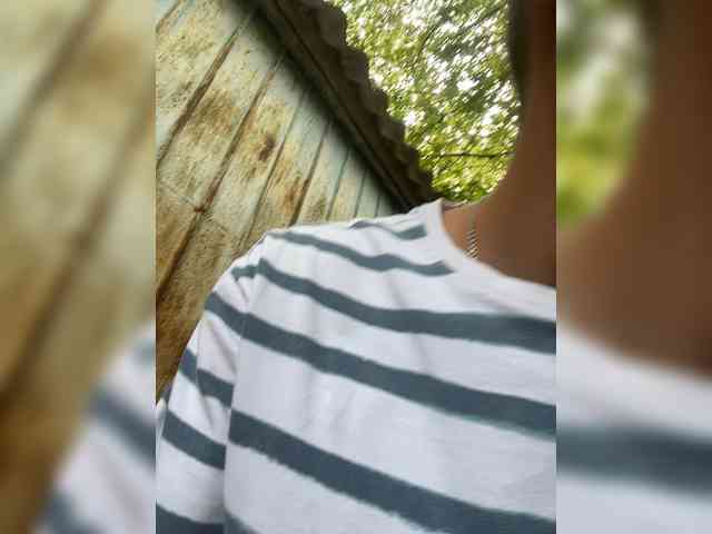 Alfaredmm