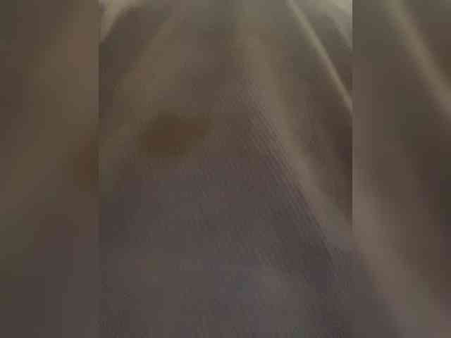 Alfaredmm Alfaredmm