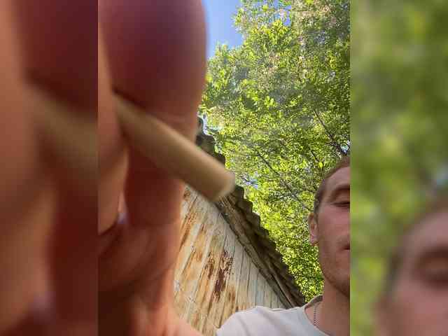 Alfaredmm
