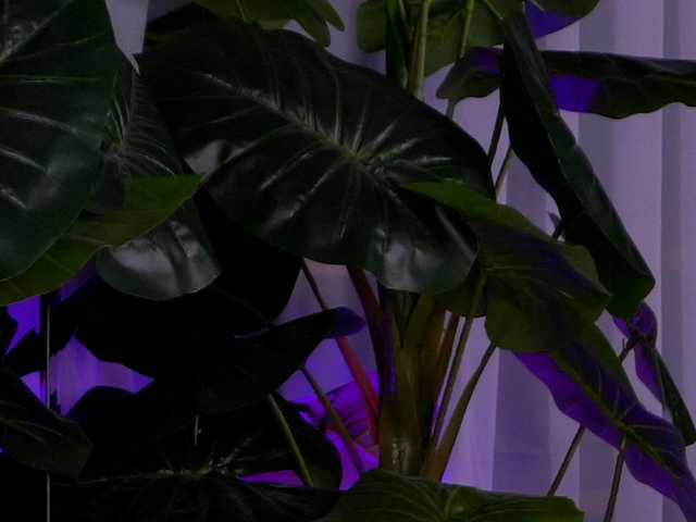 JosephineMoon's BongaCams show and profile