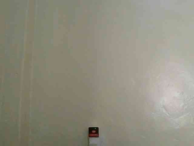 HotBanny webcam