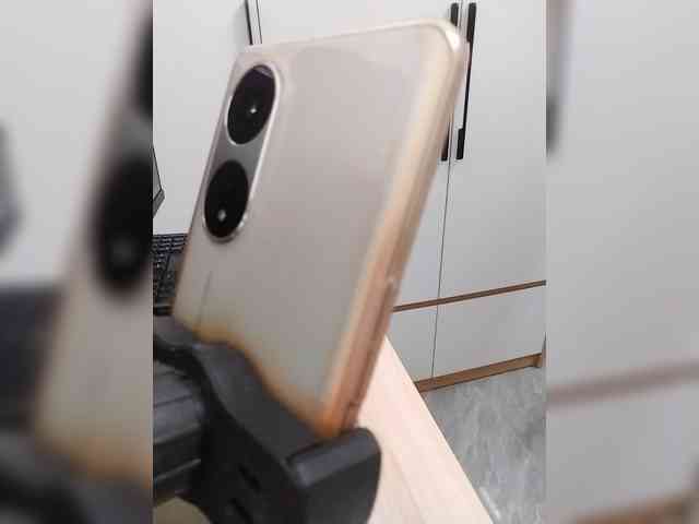 Bonita333