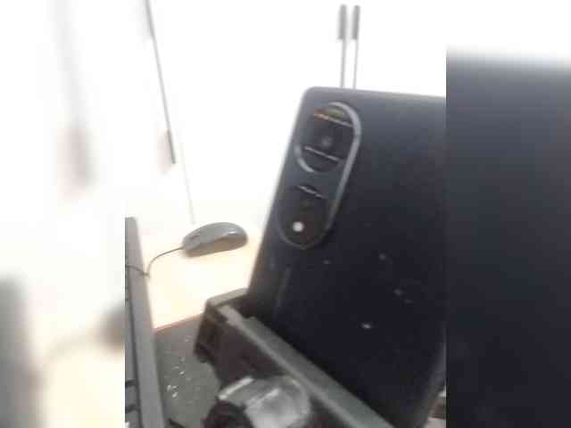 Bonita333 webcam